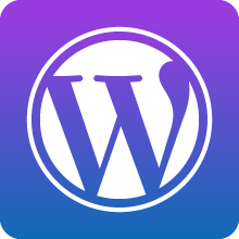 hire Wordpress developer