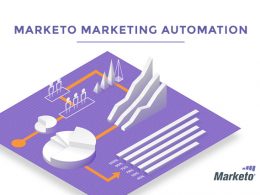 Why Should You Know About the Marketo Marketing Automation System marketo marketing automation