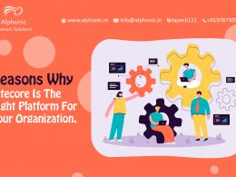 Reasons Why Sitecore Is the Right Platform for Your Organization Software Development | Web development | app developnent