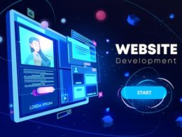 Fantasy Cricket Web Development Services- Cost and Key Features web development services