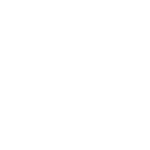 Custom Web Development Company