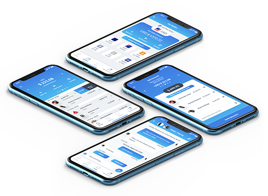 Cryptocurrency wallet development company